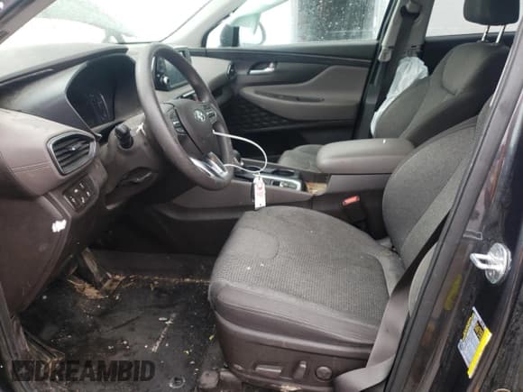 ✅ 2020 Hyundai Santa Fe SEL • VIN: 5NMS3CAD0LH205468 • Lot: 42911743. Wystawiony na Copart z przebiegiem 53 151 mil. Bezpłatny archiwum sprzedaży aukcyjnych z USA i szczegółowy raport historii pojazdu na DreamBid. Zdjęcie 7.