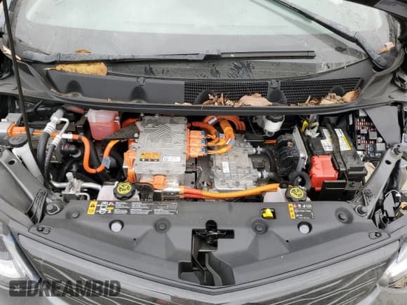 ✅ 2021 Chevrolet Bolt EV LT • VIN: 1G1FY6S02M4103463 • Lot: 79845854. Wystawiony na Copart z przebiegiem 56 437 mil. Bezpłatny archiwum sprzedaży aukcyjnych z USA i szczegółowy raport historii pojazdu na DreamBid. Zdjęcie 12.