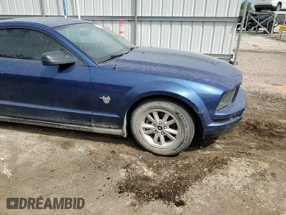 ✅ 2009 Ford Mustang • VIN: 1ZVHT80N395127410 • Lot: 53974835. Wystawiony na Copart z przebiegiem 146 356 mil. Bezpłatny archiwum sprzedaży aukcyjnych z USA i szczegółowy raport historii pojazdu na DreamBid. Zdjęcie 13.