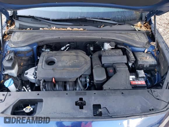 2019 Hyundai Santa Fe SE z VIN 5NMS2CAD3KH106449, wystawiony jako Copart lot #40557913 z przebiegiem 58 978 mil mil oraz . Historia ofert i sprzedaży dostępna na DreamBid. Obrazek 11.