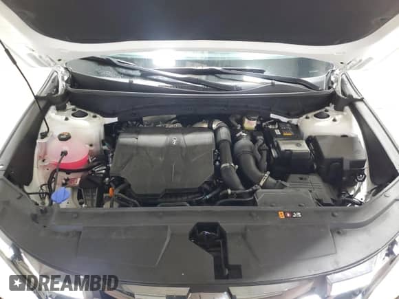 2024 Hyundai Santa Cruz XRT с VIN 5NTJDDDF9RH108116, выставлен на аукционе Copart как лот 84484304 с пробегом 4 622 миль миль и Списание • Salvage title. История ставок и продаж доступна на DreamBid. Изображение 12.