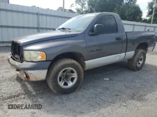 2002 Dodge 1500 с VIN 1D7HA16K92J248300, выставлен на аукционе Copart как лот 60234255 с пробегом 236 499 миль миль и Списание • Salvage title. История ставок и продаж доступна на DreamBid. Изображение 1.