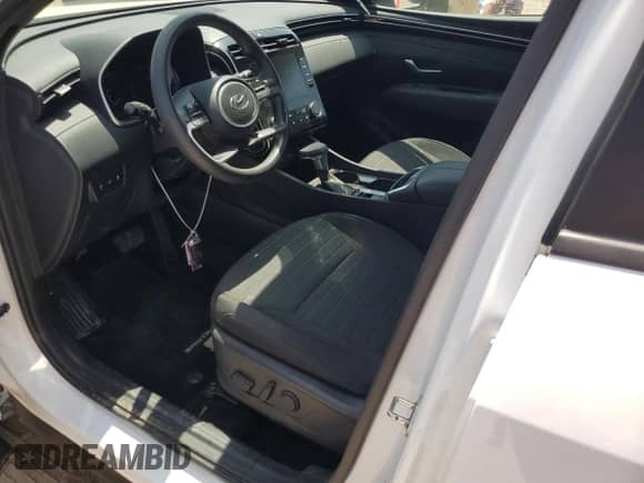 2022 Hyundai Santa Cruz SEL с VIN 5NTJBDAE3NH031402, выставлен на аукционе Copart как лот 59887415 с пробегом 48 156 миль миль и Списание • Salvage title. История ставок и продаж доступна на DreamBid. Изображение 7.