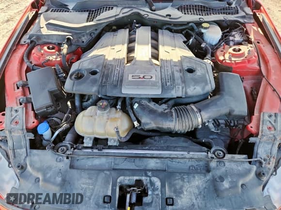 ✅ 2019 Ford Mustang GT • VIN: 1FA6P8CF2K5201804 • Lot: 68896585. Listed on Copart with 72,687 mi. Free auction sales archive from the USA and detailed vehicle history report at DreamBid. Image 11.