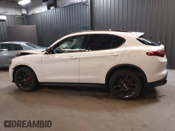 ✅ 2020 Alfa Romeo Stelvio Sport • VIN: ZASPAKANXL7C74892 • Лот: 41694168. Опубликован ранее на IAAI с пробегом 38 788 миль. Бесплатный доступ к архиву аукционных продаж из США и подробный отчёт об истории автомобиля на DreamBid. Изображение 15.