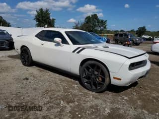 ✅ 2009 Dodge Challenger R/T • VIN: 2B3LJ54T89H602862 • Лот: 84268315. Опубликован ранее на Copart с пробегом 171 614 миль. Бесплатный доступ к архиву аукционных продаж из США и подробный отчёт об истории автомобиля на DreamBid. Изображение 4.