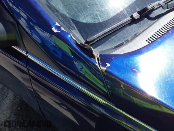 ✅ 2012 Hyundai Sonata SE • VIN: 5NPEC4AB1CH441227 • Lot: 43565069. Wystawiony na IAAI z przebiegiem 180 719 mil. Bezpłatny archiwum sprzedaży aukcyjnych z USA i szczegółowy raport historii pojazdu na DreamBid. Zdjęcie 12.