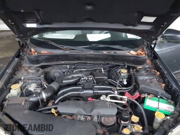 2013 Subaru Forester X с VIN JF2SHABC1DH400091, выставлен на аукционе IAAI как лот 43585501 с пробегом 210 431 миль миль и . История ставок и продаж доступна на DreamBid. Изображение 10.