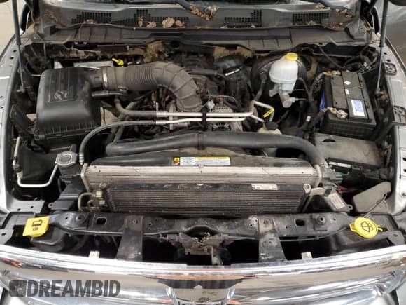 ✅ 2010 Dodge 1500 SLT • VIN: 1D7RV1CT8AS158828 • Лот: 60521765. Опубликован ранее на Copart с пробегом 226 893 миль. Бесплатный доступ к архиву аукционных продаж из США и подробный отчёт об истории автомобиля на DreamBid. Изображение 11.