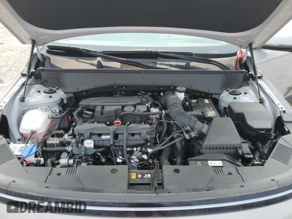 ✅ 2024 Hyundai Kona Limited • VIN: KM8HE3A39RU158045 • Lot: 70457555. Listed on Copart with 2,121 mi. Free auction sales archive from the USA and detailed vehicle history report at DreamBid. Image 12.