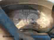 1998 Chevrolet S-10 LS with VIN 1GCCS19XXW8243161, listed as a Copart auction lot 78302614 with 196,624 mi miles and Salvage title. Bid and sale history available at DreamBid. Image 9.