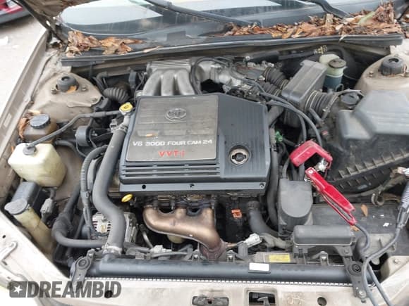 ✅ 2001 Toyota Avalon XLS • VIN: 4T1BF28B81U137802 • Лот: 43602276. Опубликован ранее на IAAI с пробегом 258 914 миль. Бесплатный доступ к архиву аукционных продаж из США и подробный отчёт об истории автомобиля на DreamBid. Изображение 10.