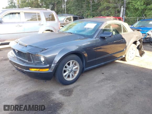 ✅ 2007 Ford Mustang Deluxe • VIN: 1ZVFT84N075346114 • Lot: 43362587. Listed on IAAI with 68,756 mi. Free auction sales archive from the USA and detailed vehicle history report at DreamBid. Image 17.