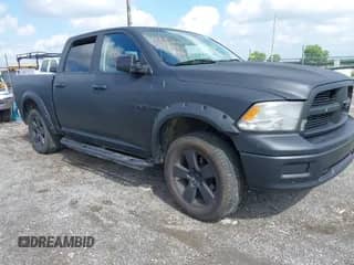 2010 Dodge 1500 Sport z VIN 1D7RV1CT0AS108974, wystawiony jako IAAI lot #42290026 z przebiegiem 185 336 mil mil oraz . Historia ofert i sprzedaży dostępna na DreamBid. Obrazek 1.