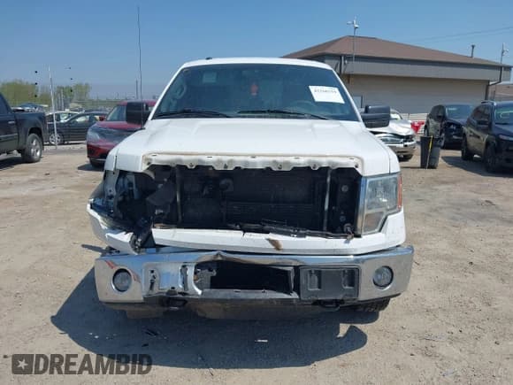 ✅ 2014 Ford F-150 XL • VIN: 1FTFX1ETXEFC02041 • Lot: 42268159. Wystawiony na IAAI z przebiegiem 169 999 mil. Bezpłatny archiwum sprzedaży aukcyjnych z USA i szczegółowy raport historii pojazdu na DreamBid. Zdjęcie 6.