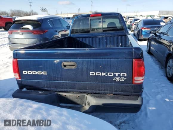 2004 Dodge Dakota with VIN 1D7GL12K74S615218, listed as a Copart auction lot 41593545 with 134,732 mi miles and Salvage title. Bid and sale history available at DreamBid. Image 6.