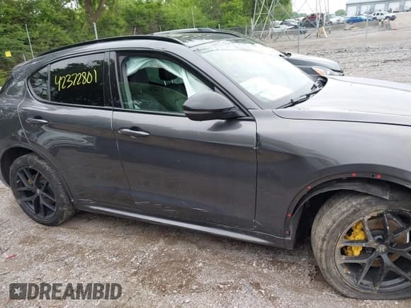 ✅ 2021 Alfa Romeo Stelvio Ti • VIN: ZASPAKBN8M7D02401 • Lot: 42372801. Listed on IAAI with Not provided. Free auction sales archive from the USA and detailed vehicle history report at DreamBid. Image 12.