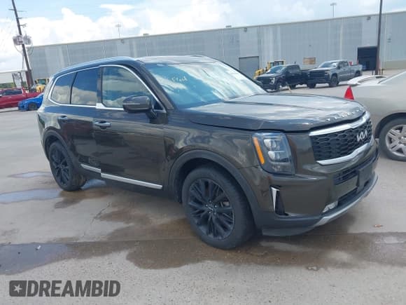✅ 2022 Kia Telluride SX • VIN: 5XYP54HC6NG238863 • Lot: 42951406. Listed on IAAI with 67,238 mi. Free auction sales archive from the USA and detailed vehicle history report at DreamBid. Image 1.