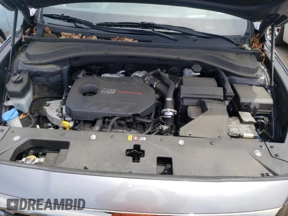 ✅ 2020 Hyundai Santa Fe Limited • VIN: 5NMS5CAA0LH171547 • Lot: 48037482. Listed on Copart with 23,235 mi. Free auction sales archive from the USA and detailed vehicle history report at DreamBid. Image 7.