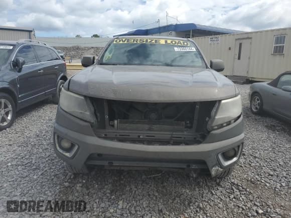 ✅ 2016 Chevrolet Colorado 2WD Z71 • VIN: 1GCGSDE16G1275250 • Лот: 73360144. Опубликован ранее на Copart с пробегом 249 302 миль. Бесплатный доступ к архиву аукционных продаж из США и подробный отчёт об истории автомобиля на DreamBid. Изображение 5.