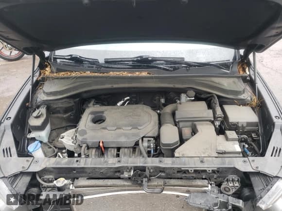 ✅ 2019 Hyundai Santa Fe SE • VIN: 5NMS2CAD7KH121651 • Lot: 59451973. Wystawiony na Copart z przebiegiem 38 856 mil. Bezpłatny archiwum sprzedaży aukcyjnych z USA i szczegółowy raport historii pojazdu na DreamBid. Zdjęcie 7.