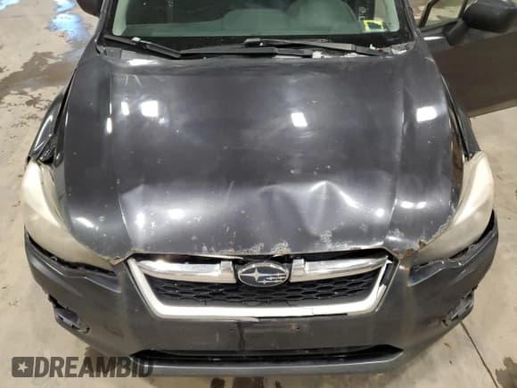 ✅ 2014 Subaru Impreza • VIN: JF1GJAA6XEH017973 • Lot: 92380725. Wystawiony na Copart z przebiegiem 153 789 mil. Bezpłatny archiwum sprzedaży aukcyjnych z USA i szczegółowy raport historii pojazdu na DreamBid. Zdjęcie 11.