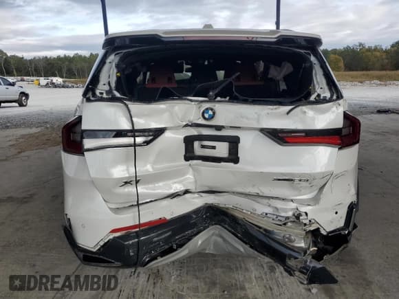 ✅ 2023 BMW X1 xDrive28i • VIN: WBX73EF06P5X62646 • Lot: 78738024. Wystawiony na Copart z przebiegiem Nie podano. Bezpłatny archiwum sprzedaży aukcyjnych z USA i szczegółowy raport historii pojazdu na DreamBid. Zdjęcie 6.