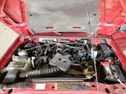 ✅ 2008 Ford Ranger XLT • VIN: 1FTYR44E28PA91703 • Lot: 79835344. Listed on Copart with 50,715 mi. Free auction sales archive from the USA and detailed vehicle history report at DreamBid. Image 13.