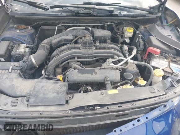 ✅ 2017 Subaru Impreza Special Sports • VIN: 4S3GTAK67H3723917 • Lot: 42919524. Wystawiony na IAAI z przebiegiem 99 324 mil. Bezpłatny archiwum sprzedaży aukcyjnych z USA i szczegółowy raport historii pojazdu na DreamBid. Zdjęcie 10.