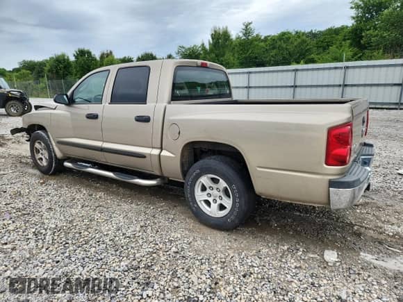 2005 Dodge Dakota SLT with VIN 1D7HE48N15S214296, listed as a Copart auction lot 60641925 with Not provided miles and Salvage title. Bid and sale history available at DreamBid. Image 2.