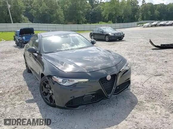 ✅ 2021 Alfa Romeo Giulia • VIN: ZARFAMAN4M7643835 • Lot: 69296745. Listed on Copart with 46,090 mi. Free auction sales archive from the USA and detailed vehicle history report at DreamBid. Image 13.