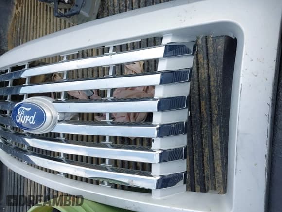 ✅ 2011 Ford F-150 XL • VIN: 1FTFX1EF7BKD20755 • Lot: 42483012. Listed on IAAI with Not provided. Free auction sales archive from the USA and detailed vehicle history report at DreamBid. Image 11.