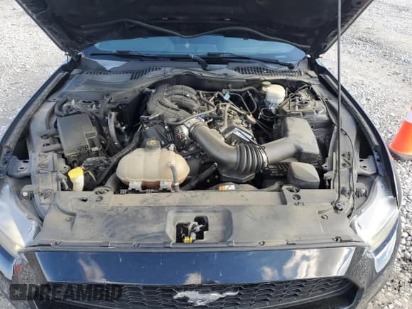 ✅ 2017 Ford Mustang V6 • VIN: 1FA6P8AM3H5238516 • Лот: 90723505. Опубликован ранее на Copart с пробегом 117 024 миль. Бесплатный доступ к архиву аукционных продаж из США и подробный отчёт об истории автомобиля на DreamBid. Изображение 11.