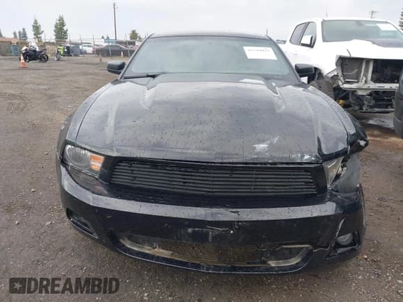 ✅ 2012 Ford Mustang Premium • VIN: 1ZVBP8AM4C5222131 • Lot: 43519035. Listed on IAAI with 124,983 mi. Free auction sales archive from the USA and detailed vehicle history report at DreamBid. Image 12.