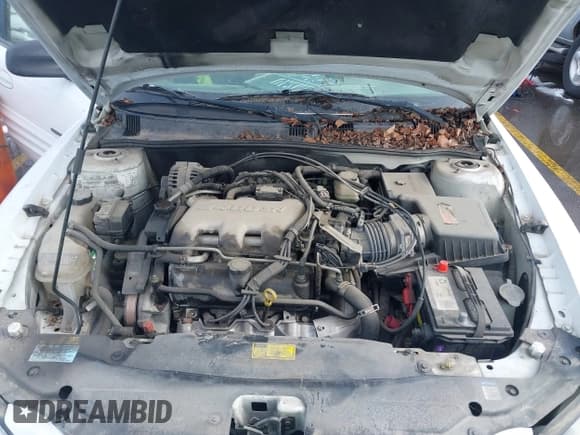 ✅ 1999 Pontiac Grand Am SE1 • VIN: 1G2NE52E3XM837376 • Lot: 41552372. Listed on IAAI with Not provided. Free auction sales archive from the USA and detailed vehicle history report at DreamBid. Image 10.