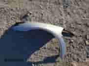 2006 Chevrolet Corvette с VIN 1G1YY26U865128735, выставлен на аукционе Copart как лот 76622744 с пробегом 64 542 миль миль и Чистый • Clean title. История ставок и продаж доступна на DreamBid. Изображение 12.