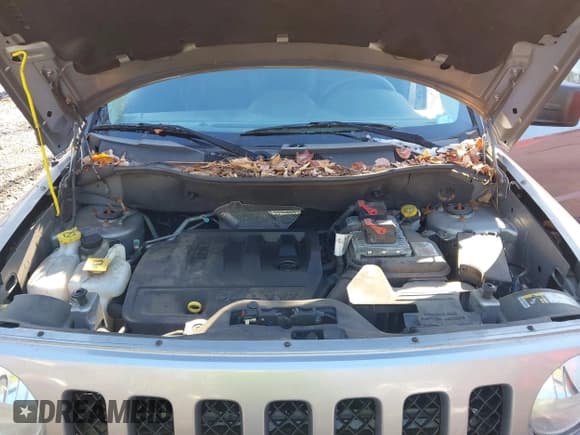 ✅ 2016 Jeep Patriot High Altitude • VIN: 1C4NJRFB2GD672998 • Lot: 43888534. Listed on IAAI with 137,383 mi. Free auction sales archive from the USA and detailed vehicle history report at DreamBid. Image 10.