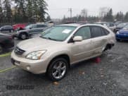 ✅ 2006 Lexus RX 400h • VIN: JTJHW31U760009918 • Lot: 43805214. Listed on IAAI with 258,487 mi. Free auction sales archive from the USA and detailed vehicle history report at DreamBid. Image 20.