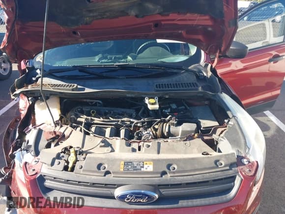 ✅ 2015 Ford Escape S • VIN: 1FMCU0F70FUC58974 • Lot: 43521504. Listed on IAAI with 131,788 mi. Free auction sales archive from the USA and detailed vehicle history report at DreamBid. Image 10.