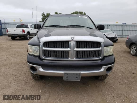 2002 Dodge 1500 with VIN 3D7HU18Z82G124571, listed as a Copart auction lot 65449724 with 228,926 mi miles and Salvage title. Bid and sale history available at DreamBid. Image 5.