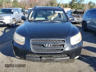 ✅ 2008 Hyundai Santa Fe SE • VIN: 5NMSH13E18H203179 • Lot: 80164844. Listed on Copart with 159,433 mi. Free auction sales archive from the USA and detailed vehicle history report at DreamBid. Image 5.