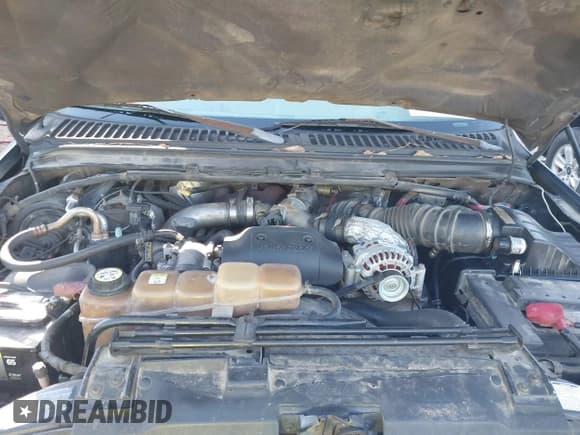 ✅ 2003 Ford F-250 XL • VIN: 1FTNX20F83EB06060 • Lot: 41486165. Listed on IAAI with 268,691 mi. Free auction sales archive from the USA and detailed vehicle history report at DreamBid. Image 10.