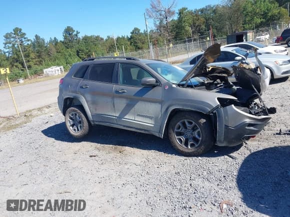 ✅ 2019 Jeep Cherokee Trailhawk • VIN: 1C4PJMBX1KD251067 • Lot: 43497885. Wystawiony na IAAI z przebiegiem 110 215 mil. Bezpłatny archiwum sprzedaży aukcyjnych z USA i szczegółowy raport historii pojazdu na DreamBid. Zdjęcie 1.