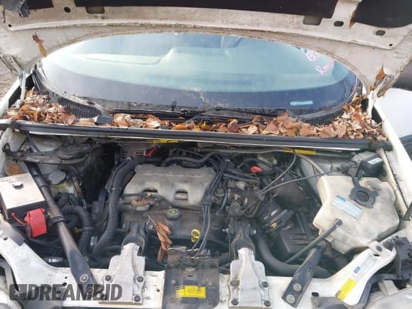 ✅ 2000 Pontiac Montana • VIN: 1GMDX03EXYD124376 • Lot: 40963275. Wystawiony na IAAI z przebiegiem 208 380 mil. Bezpłatny archiwum sprzedaży aukcyjnych z USA i szczegółowy raport historii pojazdu na DreamBid. Zdjęcie 10.