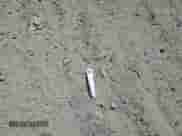 2024 Chevrolet Malibu LT z VIN 1G1ZE5ST8RF212208, wystawiony jako Copart lot #65523255 z przebiegiem 33 618 mil mil oraz Czysty tytuł • Clean title. Historia ofert i sprzedaży dostępna na DreamBid. Obrazek 12.