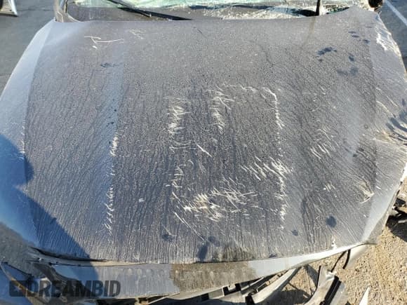 ✅ 2023 Subaru Outback Touring XT • VIN: 4S4BTGPD1P3203081 • Lot: 90141155. Wystawiony na Copart z przebiegiem Nie podano. Bezpłatny archiwum sprzedaży aukcyjnych z USA i szczegółowy raport historii pojazdu na DreamBid. Zdjęcie 12.