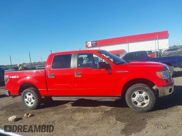 ✅ 2011 Ford F-150 Lariat • VIN: 1FTFW1EF8BFC00023 • Lot: 43556101. Wystawiony na IAAI z przebiegiem 141 792 mil. Bezpłatny archiwum sprzedaży aukcyjnych z USA i szczegółowy raport historii pojazdu na DreamBid. Zdjęcie 13.