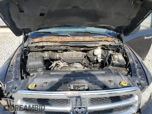 ✅ 2010 Dodge 1500 SLT • VIN: 1D7RV1GP0AS204441 • Lot: 55341275. Wystawiony na Copart z przebiegiem 267 691 mil. Bezpłatny archiwum sprzedaży aukcyjnych z USA i szczegółowy raport historii pojazdu na DreamBid. Zdjęcie 11.