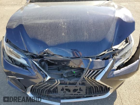 ✅ 2019 Lexus ES 350 Luxury • VIN: 58ABZ1B19KU012111 • Lot: 80453095. Wystawiony na Copart z przebiegiem 45 206 mil. Bezpłatny archiwum sprzedaży aukcyjnych z USA i szczegółowy raport historii pojazdu na DreamBid. Zdjęcie 11.