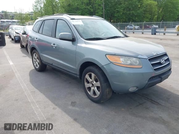 ✅ 2009 Hyundai Santa Fe SE • VIN: 5NMSH13E09H311908 • Lot: 42098472. Listed on IAAI with 262,187 mi. Free auction sales archive from the USA and detailed vehicle history report at DreamBid. Image 1.